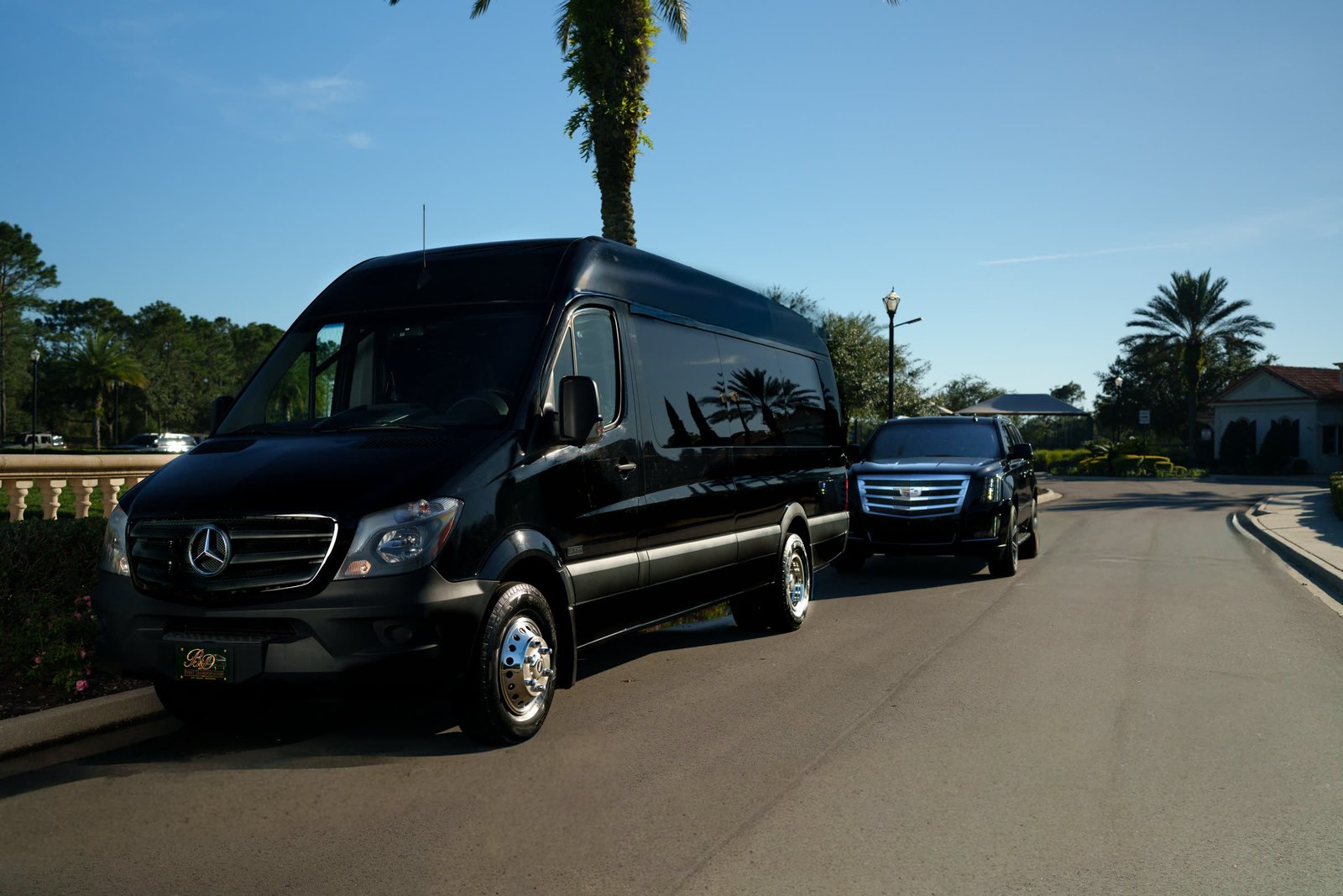 Mercedes-Benz Sprinter and Cadillac Escalade on a palm-lined drive